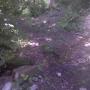 ./10_photos/2010-06-19 11.04.36.jpg